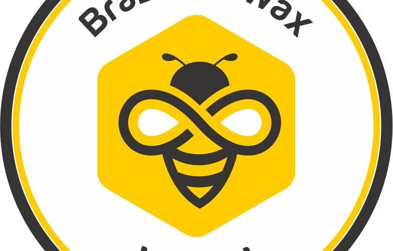 Logo Brazilian wax by Sol clearwater tampa bay | Solange Barroso Logo Brazilian wax by Sol clearwater tampa bay | Favesin