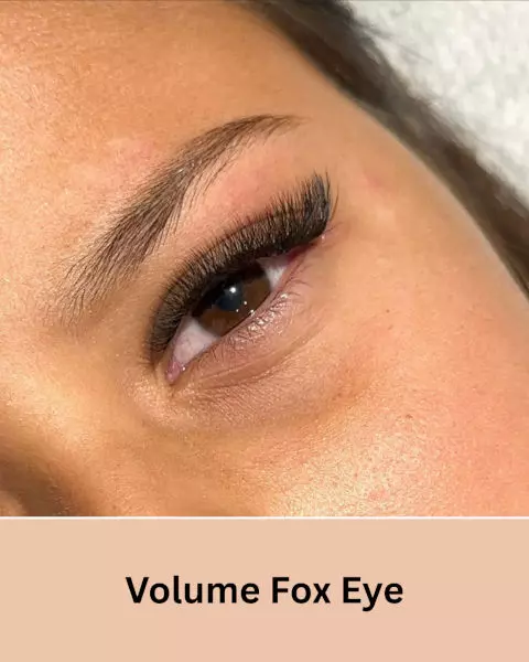 Dani Sacomani Fox Eye Volume Eyelash Extensions - How to Choose, Styles & Care Tips in Clearwater, FL