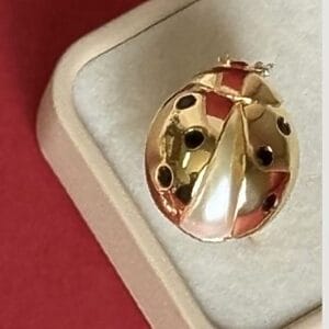 Ladybug Statement Ring with 18K gold-plated finish, black enamel spots, and a polished surface, displayed in a beige jewelry box against a red background.