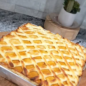 A classic Brazilian savory pie! Buttery crust filled with seasoned shredded chicken, creamy sauce, and olives, baked to golden perfection. Perfect for parties or as a main dish.